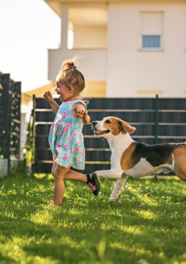 Screenshot 2025-02-18 at 12.48.25 PM